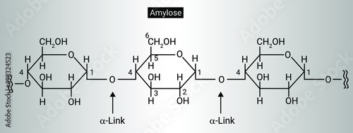 Structure of Amylose. photo