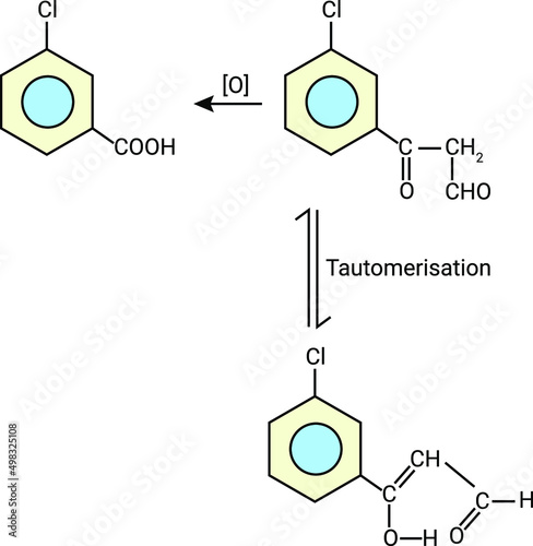 Tautomerisation patterns