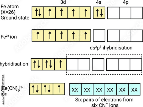 orbital hybridization (or hybridization) is the concept of mixing atomic orbitals to form new hybrid orbitals (with different energies, shapes