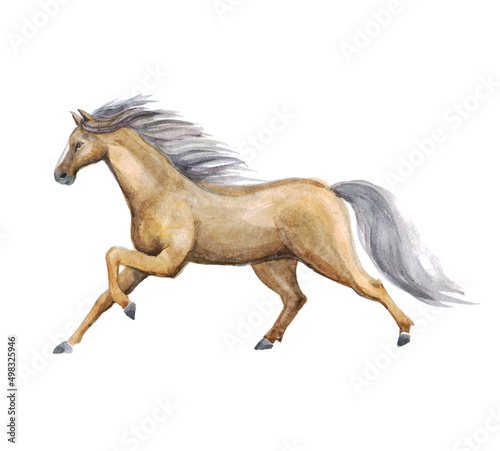 Watercolor horse art. Ink modern galloping. Energy active. Wildlife design. Artwork painted running horse running drawing. Hand drawn. Watercolor horse farm 