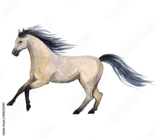 Watercolor horse art. Ink modern galloping. Energy active. Wildlife design. Artwork painted running horse running drawing. Hand drawn. Watercolor horse farm 