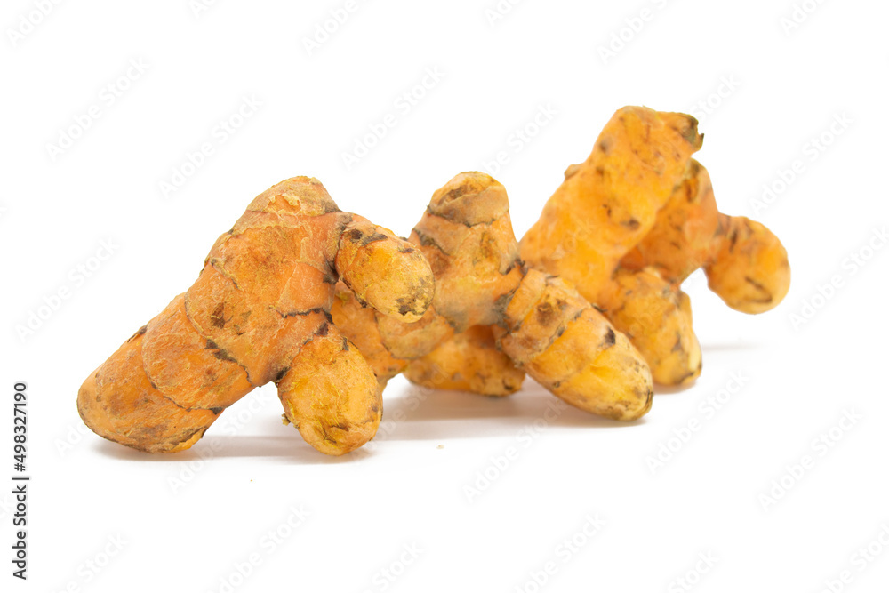 raw turmeric roots isolated on white background raw turmeric roots isolated on white background