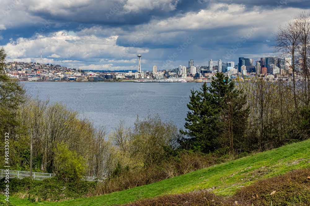 Seattle Skyline Landscape 2