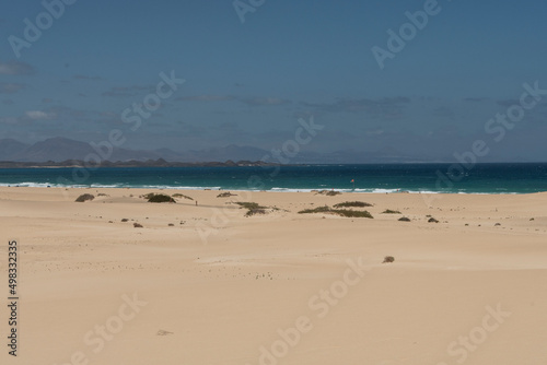 Dunas de arena en el Parque Natural de Corralejo, Fuerteventura. Islas Canarias © DiegoCalvi