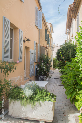 Saint Tropez, Provence, Côte d'azur, France: View to a small and charming alley paved with natural stones and decorated with green plants in pots