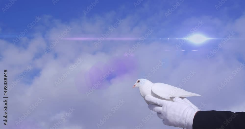 Animation of light spots and clouds over pigeon in hands