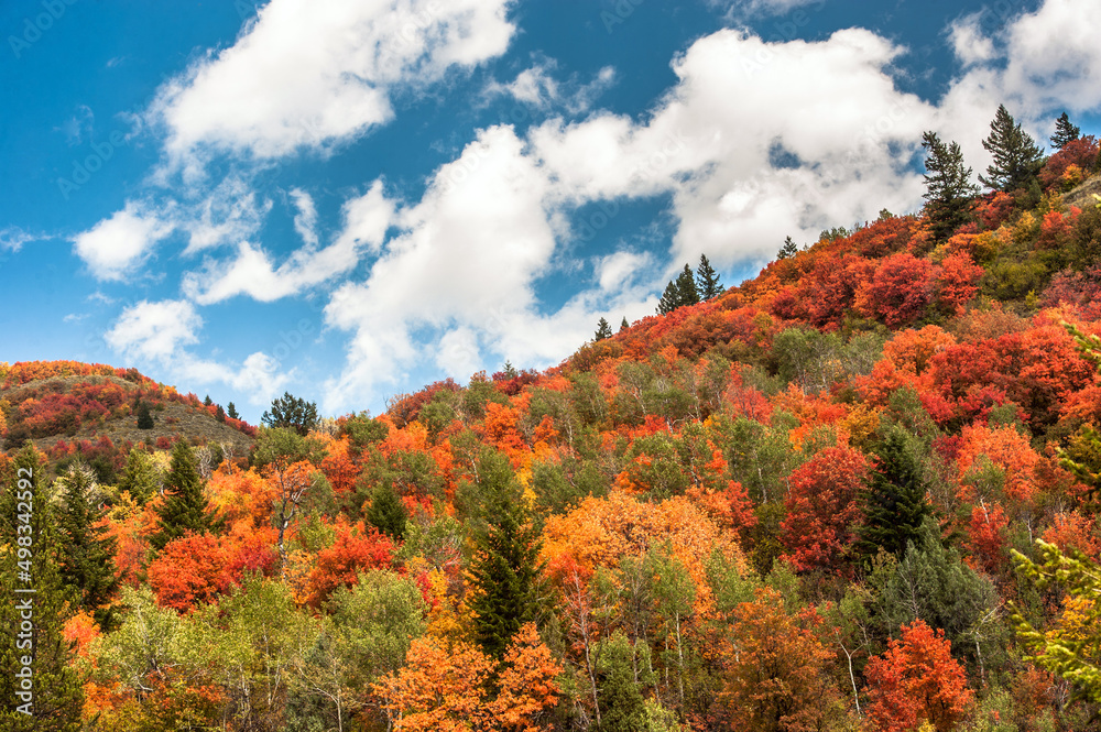fall fall
