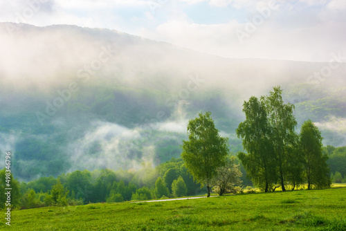 mountainous countryside at foggy sunrise. wonderful nature scenery in spring with deciduous trees on grassy hills. mist above the rolling hills and valley beneath a cloudy sky