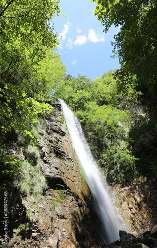 fresh water gushing from a waterfall in the middle of the vegetation in the uncontaminated nature