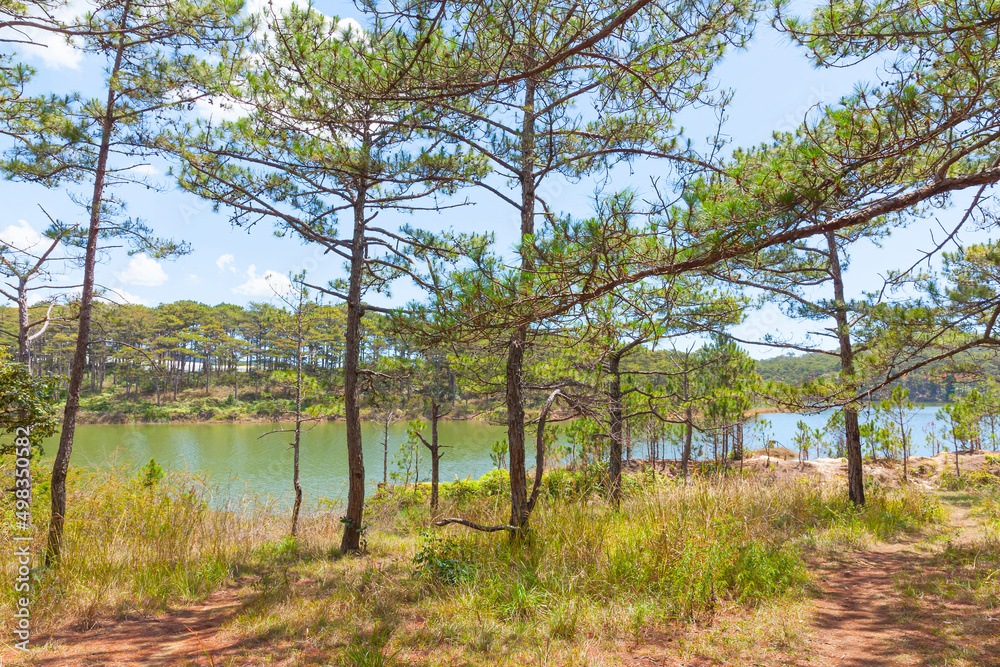 Beautiful landscape blue lake behind pine forest in Chien Thang lake, Da Lat city, Lam Dong, Vietnam