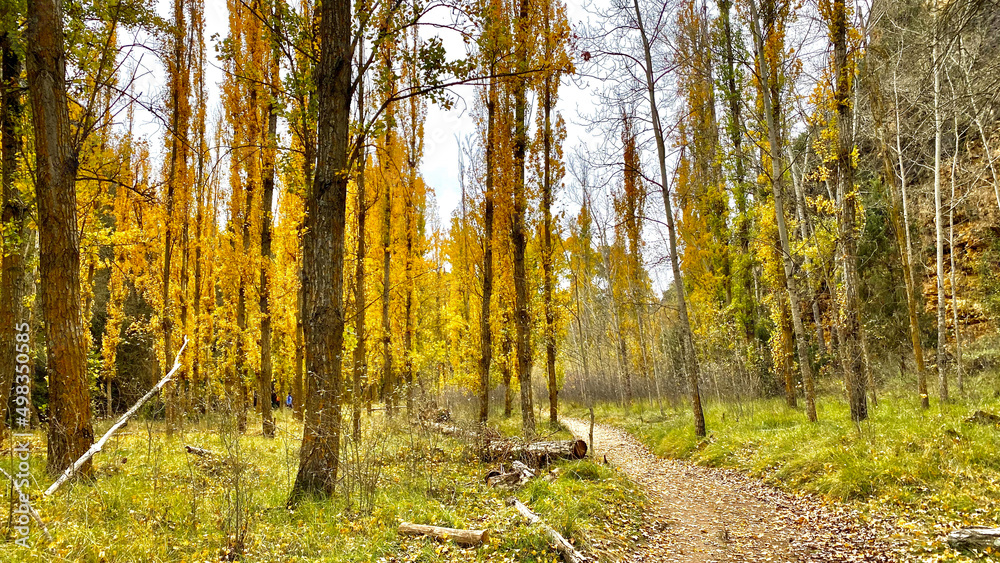 Obraz premium HRD_Nature_V1