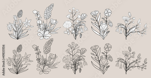 Fototapeta Naklejka Na Ścianę i Meble -  Hand drawn set of blooming flowers. Floral summer collection. Vector sketch elements. Decorative doodle illustration for greeting card, wedding invitation, fabric