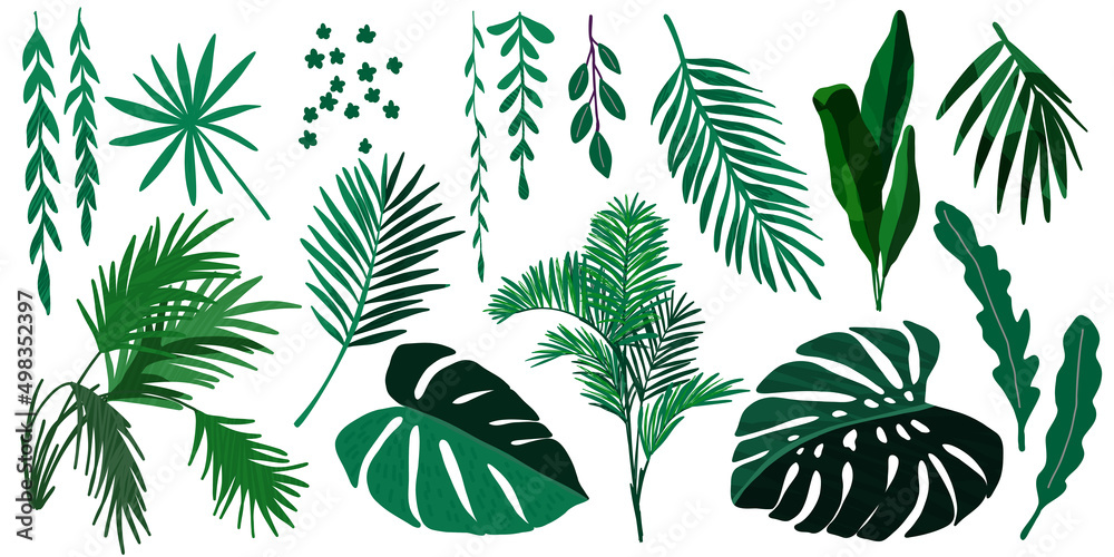 Tropical leaves collection, hand drawn vector set