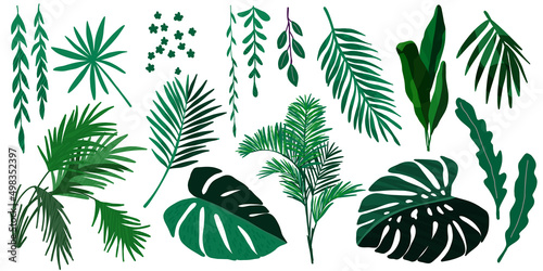 Tropical leaves collection  hand drawn vector set
