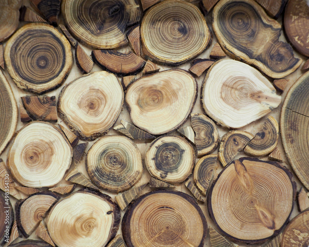 wooden background. sections of tree trunks in the decor. wooden stand wooden background. sections of tree trunks in the decor. wooden stand