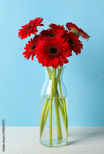 Fototapeta Naklejka Na Ścianę i Meble -  Bouquet of beautiful red gerbera flowers in glass vase on light blue background