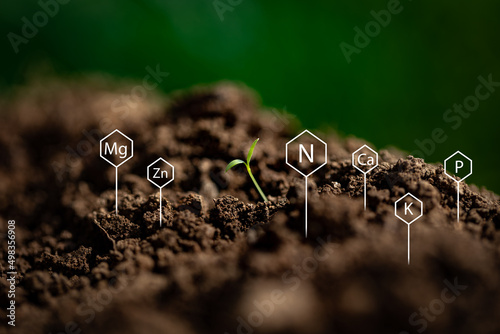 Photographie Chemical symbols of nitrogen, potassium, phosphorus, calcium, magnesium and zinc portrayed as a association of soil testing elements next to just emerged young plant on fertile, wet ground