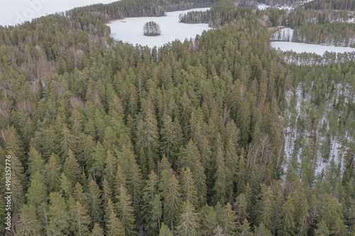 Winter landscape over a forest covered with snow. Drone photo. Scandinavia. Finland.