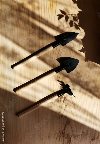 A small garden tool on a wooden background. Shovel, rake. Tool for the care of house plants. Horticulture