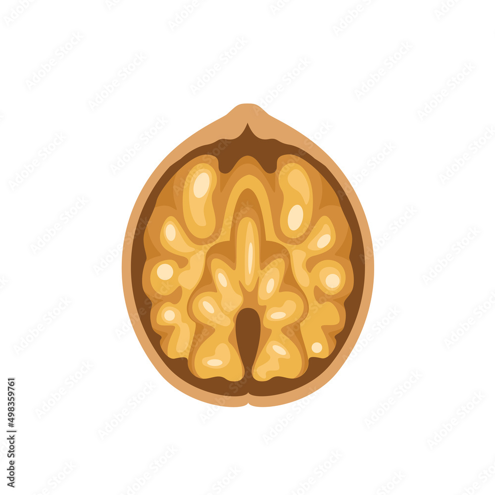Fototapeta premium Walnut vector icon. Flat illustration of half nut.