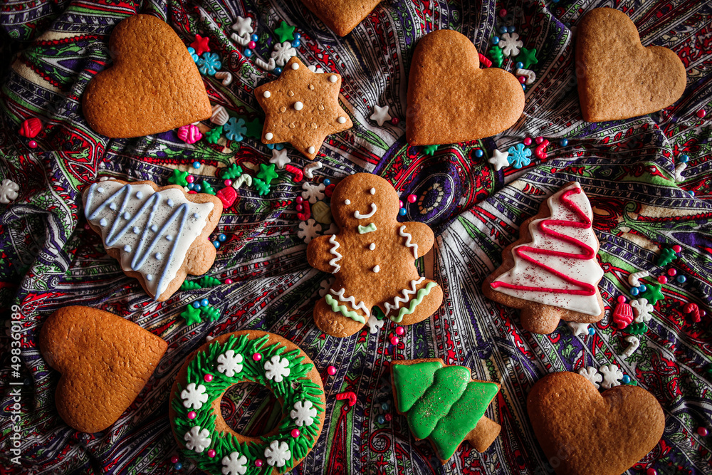 Christmas Cookies for happy new year. High quality photo