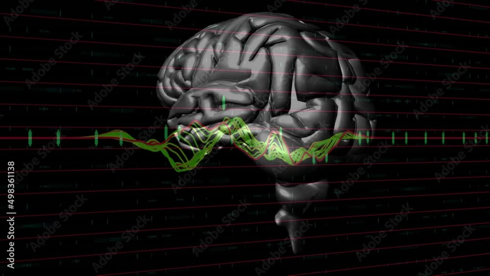 Animation of graphs over rotating brain on black background