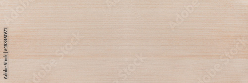 The texture of the birch board. Background and texture of light wood. Board of natural wood close-up.