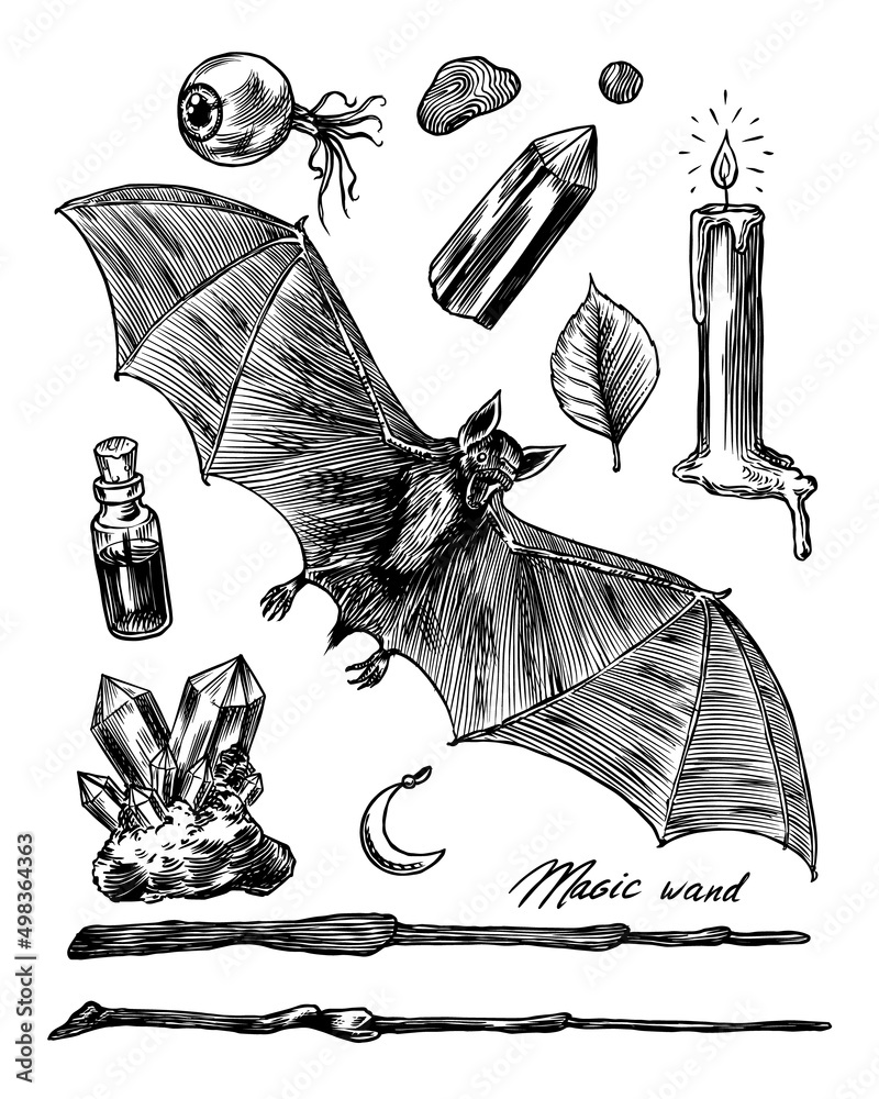 Flying Realistic Bat Black, Realistic, Bat, Animal PNG Transparent Image  and Clipart for Free Download
