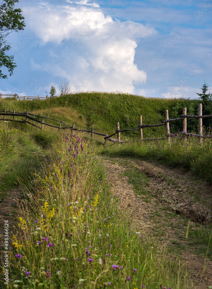Fototapeta premium Picturesque summer Carpathian mountain countryside, Ukraine.