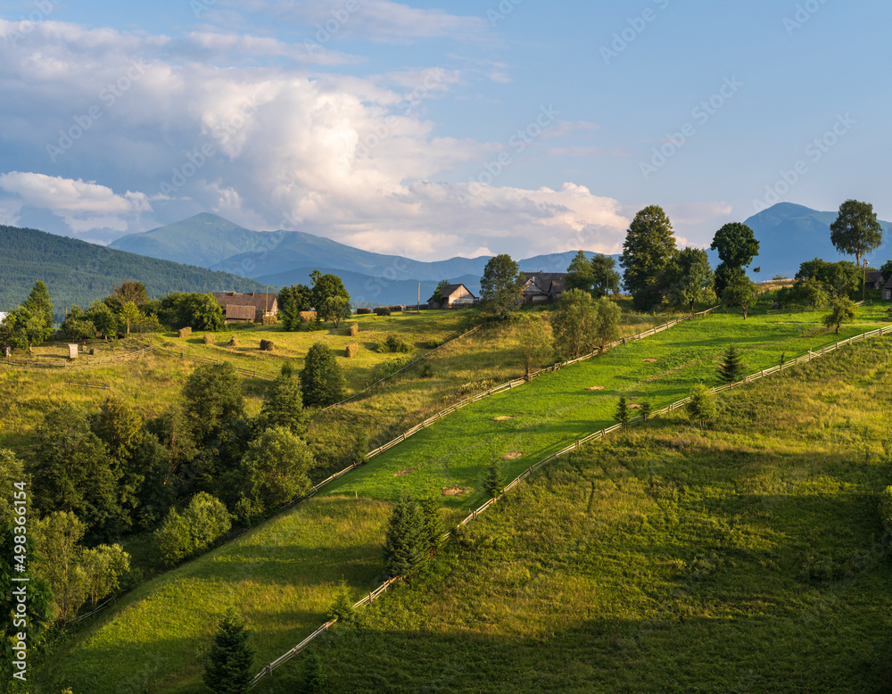 Picturesque summer Carpathian mountain countryside, Ukraine.