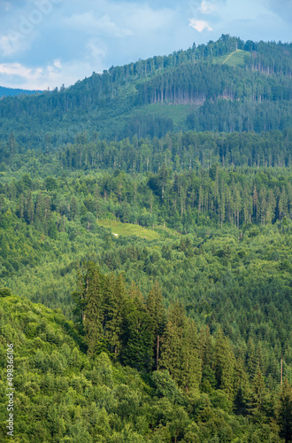 Picturesque summer Carpathian mountain countryside, Ukraine.