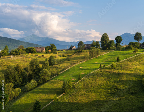 Picturesque summer Carpathian mountain countryside  Ukraine.