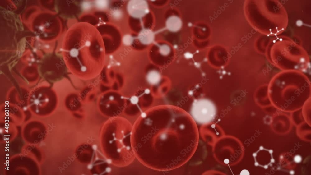Animation of moving cells over red background Animation of moving cells over red background