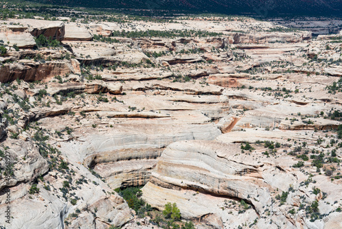 Sandstone Canyon Landscape of Natural Bridges National Monument in Utah