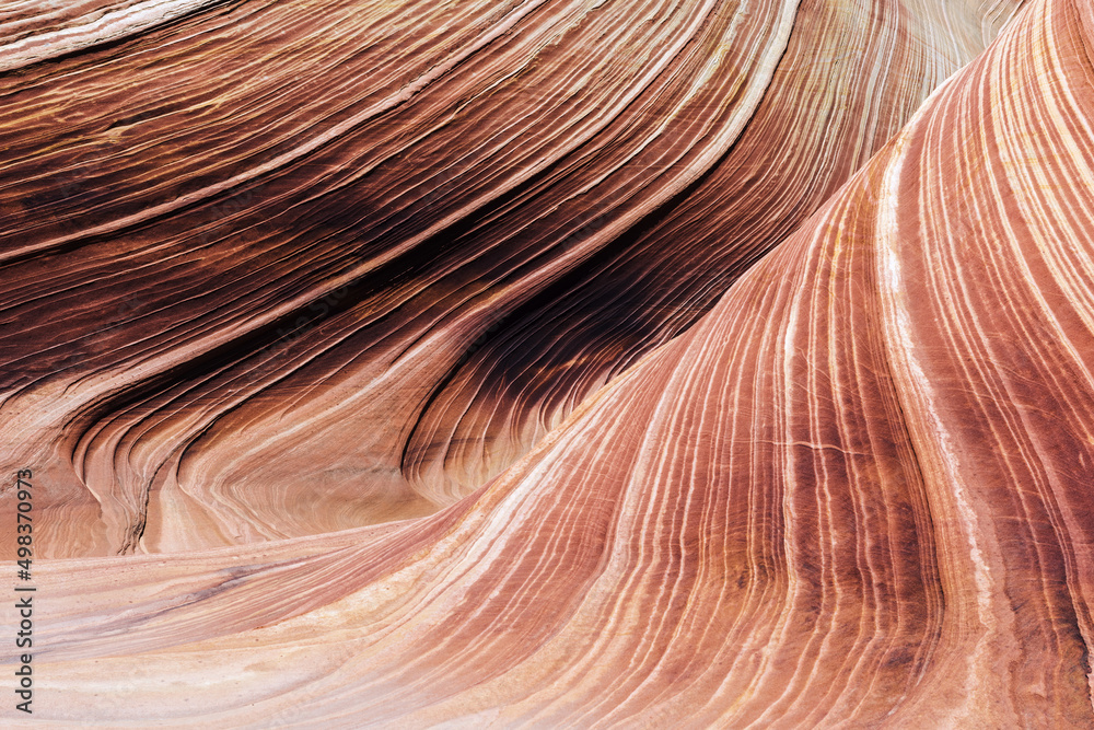 The Wave in Arizona The Wave in Arizona