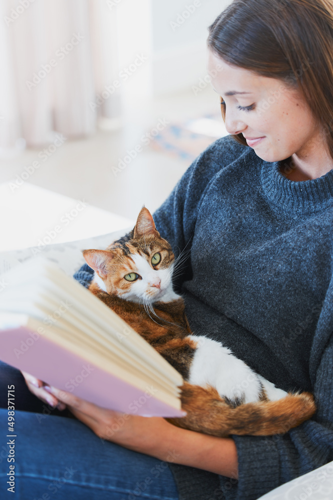 Happiness is a fluffy cat and a great book. Shot of a young woman reading a book with a cat on her lap at home. Happiness is a fluffy cat and a great book. Shot of a young woman reading a book with a cat on her lap at home.