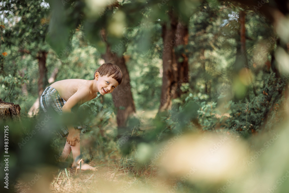 a preschooler boy smiles cheerfully looking out from behind the trees, around the forest, oaks, summer