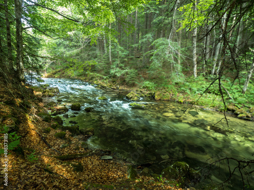 Fototapeta Naklejka Na Ścianę i Meble -  Mountain river in the middle of green forest