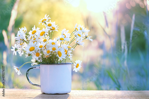 Photos chamomile flowers in white cup on table in garden, natural sunny blurred background