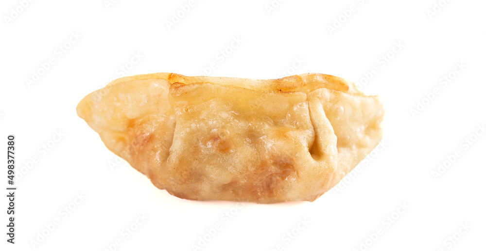 Potsticker Dumpling Isolated on a White Background Potsticker Dumpling Isolated on a White Background