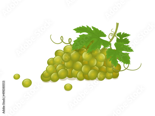 Bunch of white grapes isometric vector illustration in flat style on white