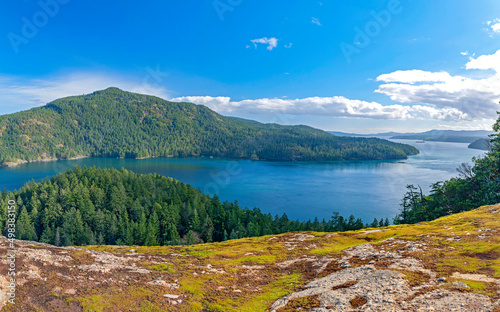 Panoramic view of the trees, ocean and shoreline at Maple Bay in Vancouver Island, British Columbia