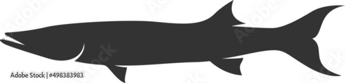 Barracuda Silhouette. Isolated Vector Animal Template for Logo Company, Icon, Symbol etc 