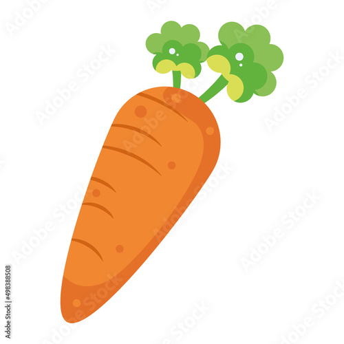 Isolated carrot vegetable Healthy food Vector
