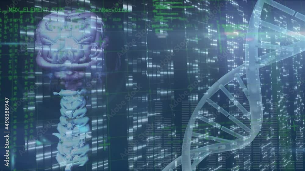 Animation of human brain, dna strand spinning and data processing