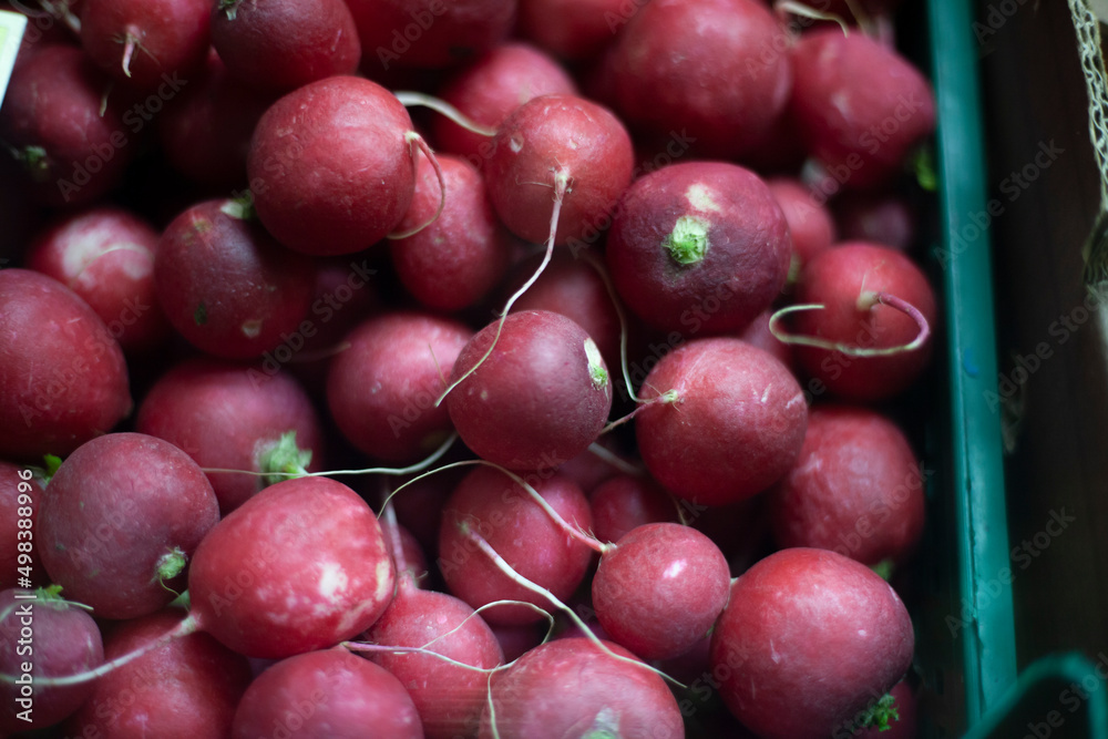 Radishes in box. Harvested. Red fruits collected from ground. Radishes in box. Harvested. Red fruits collected from ground.