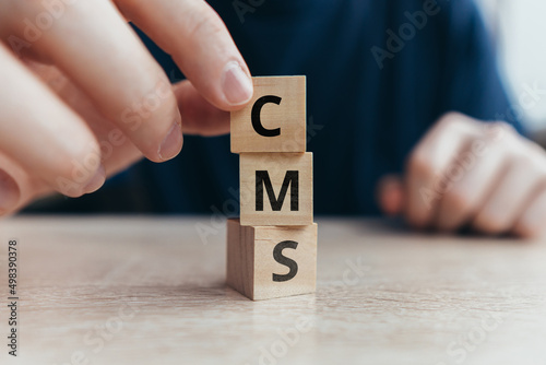 Acronym CMS or Content Management System. Text on wooden cubes