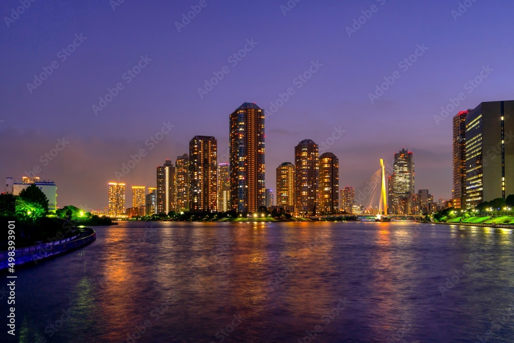 Obraz premium 東京夜景 隅田川とタワーマンション群