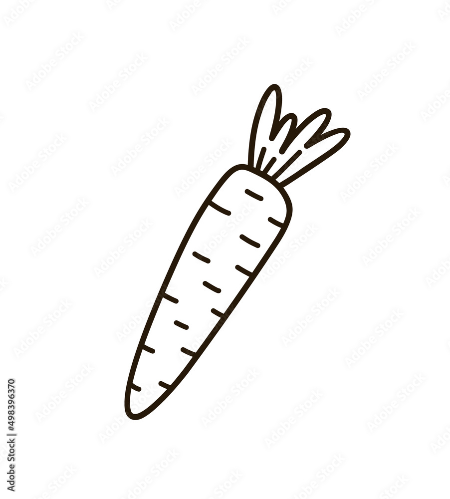 Cute carrot isolated on white background. Vector hand-drawn illustration in doodle style. Perfect for holiday designs, cards, logo, decorations, recipes. Cute carrot isolated on white background. Vector hand-drawn illustration in doodle style. Perfect for holiday designs, cards, logo, decorations, recipes.