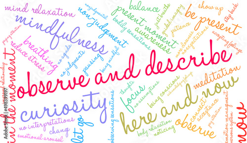 Observe and Describe During Mindfulness Word Cloud on a white background. 